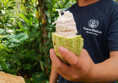 Balinese Cooking Class at an Organic Farm
