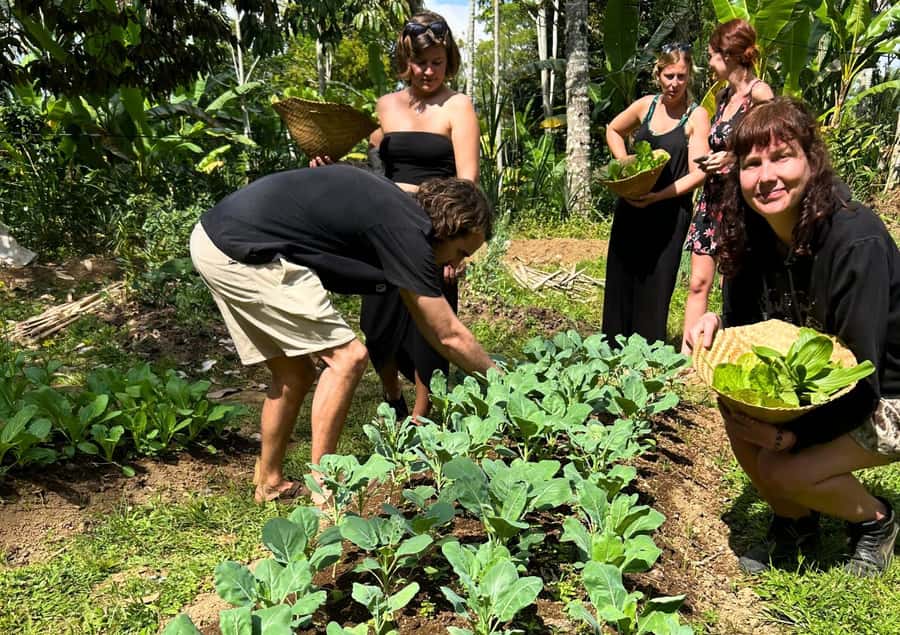 Ubud: Balinese Cooking Class at an Organic Farm - Eating the meal you prepared