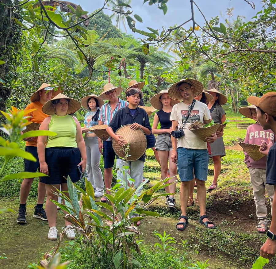 Ubud: Organic Farm Harvest, Bali Cooking Class by Pemulan - Harvest vegetables at Pemulan Farm