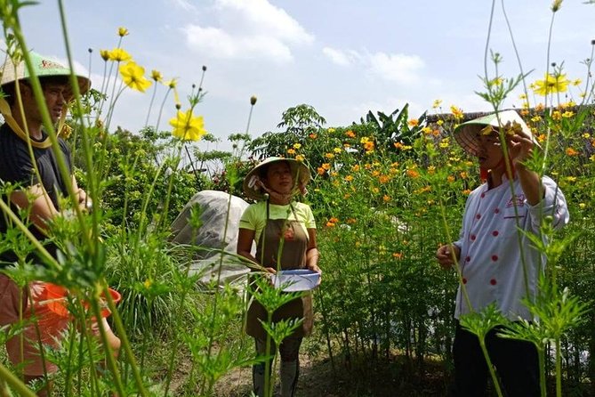 Unique farm to Table cooking class in Saigon - Is $67 a fair price?