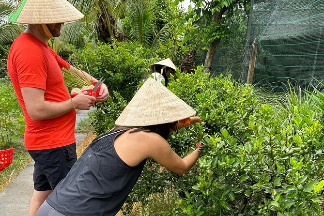 Unique Farm to Table Cooking Class with Top Chef in Vietnam - What the $67 Price Really Buys