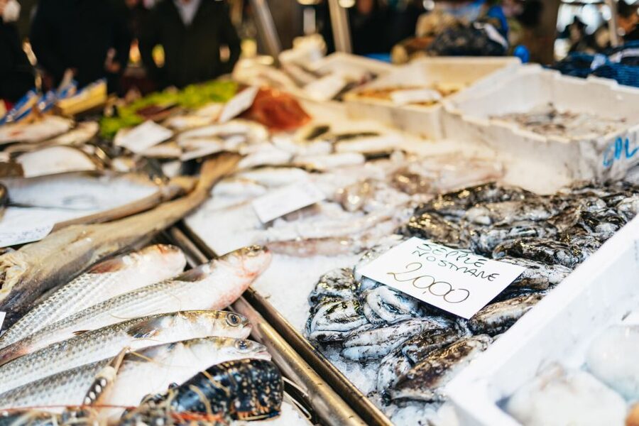Venice: Rialto Market Tour, Cooking Class, and Lunch - Choosing the right time and date
