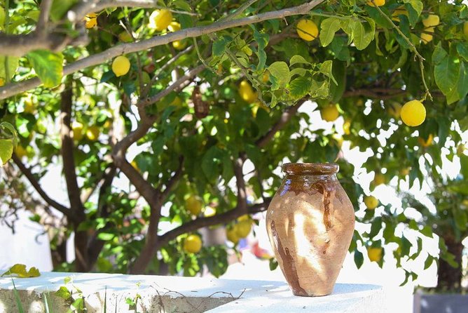 Viator Exclusive: Local Cooking Class & Dinner with View of Nice - Is $139.13 a fair price?