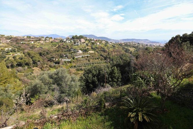 Viator Exclusive: Local Cooking Class & Dinner with View of Nice - Who should book this Nice cooking class?